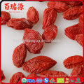 Baies de goji fraîches croustillantes ningxia goji goji baie fiyat avec faible en calories